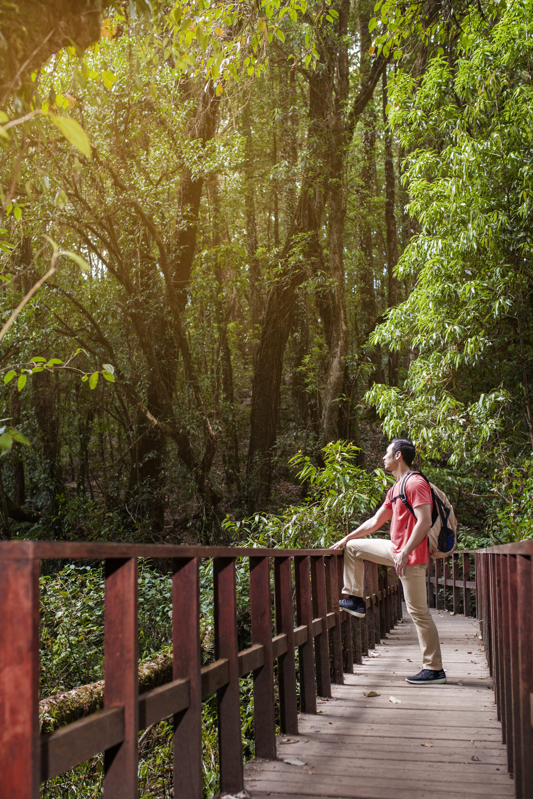 Vaishvi%20Tourism