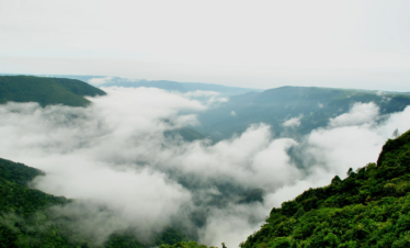 Enchanting Meghalaya Kaziranga Escape