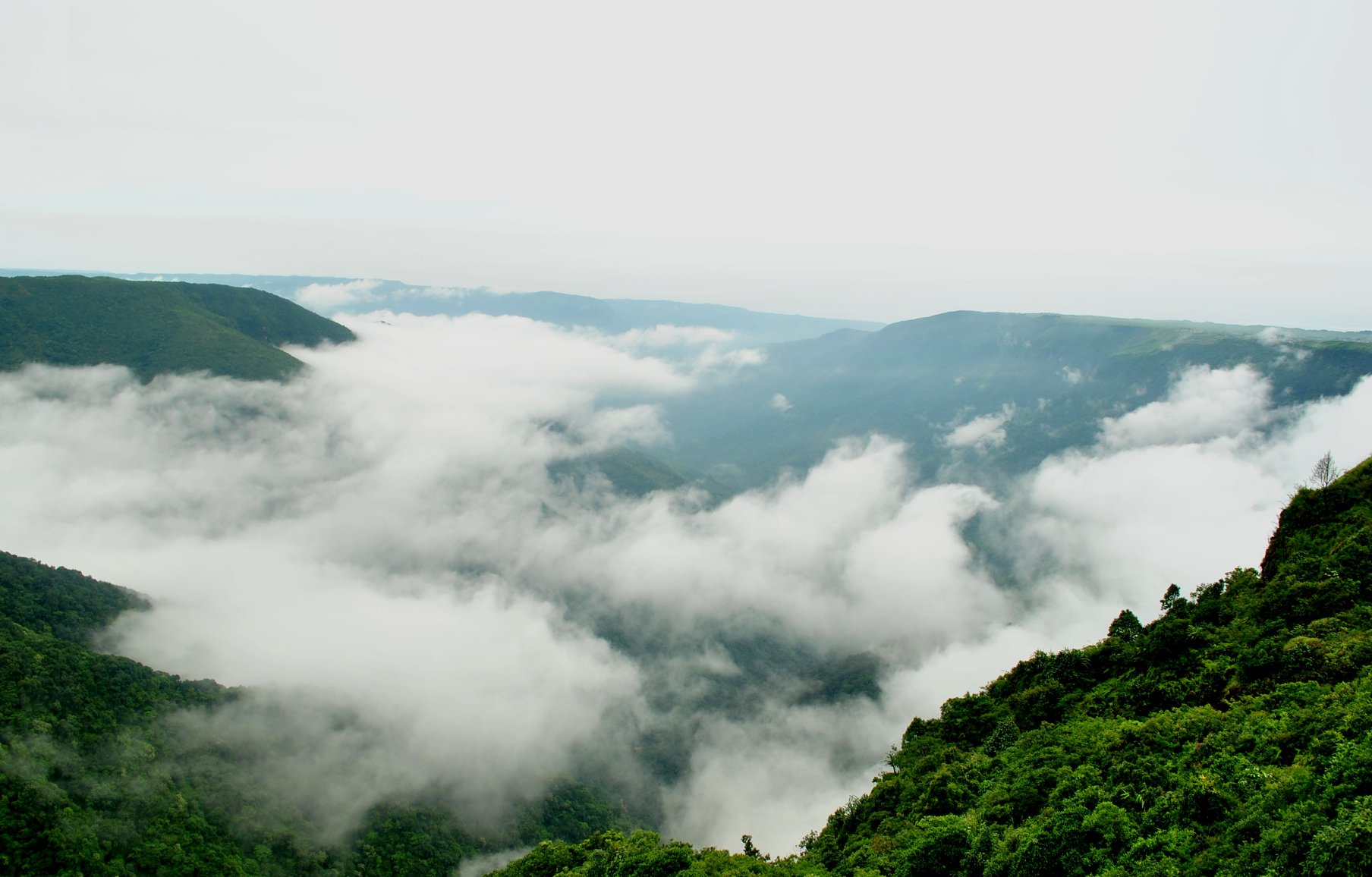 Enchanting Meghalaya Kaziranga Escape