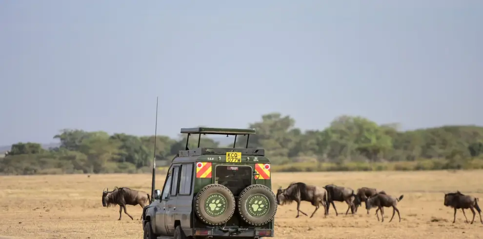 Wild Kenya Safari Escape