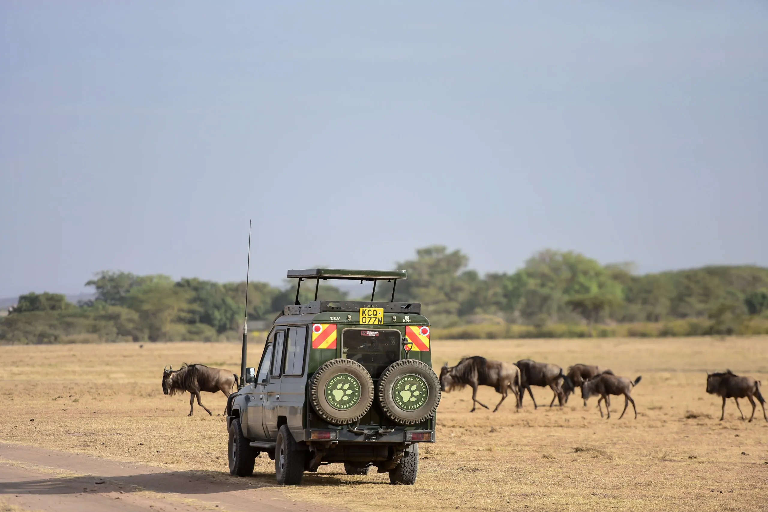 Wild Kenya Safari Escape