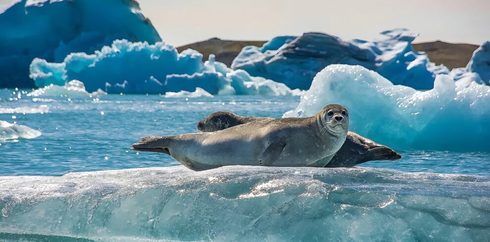 Iceland Wonders Circle Escape