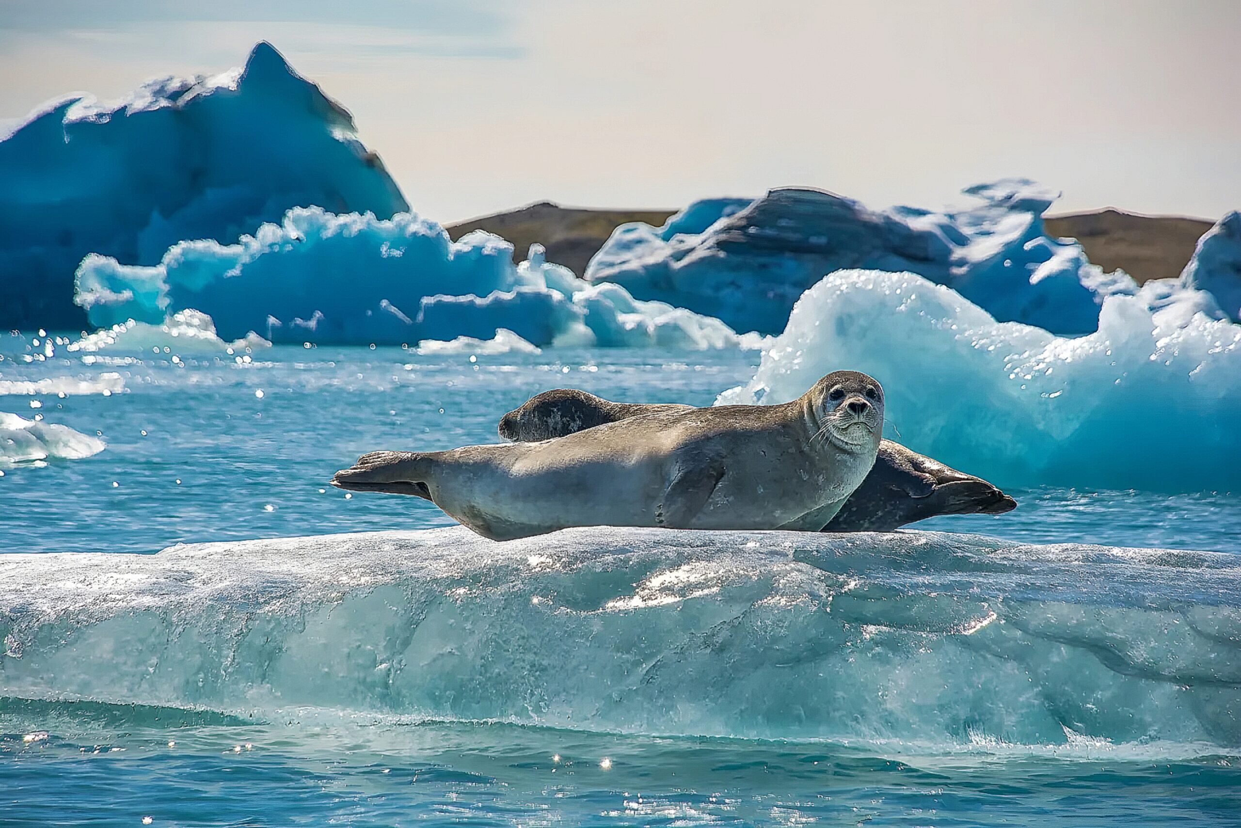Iceland Wonders Circle Escape