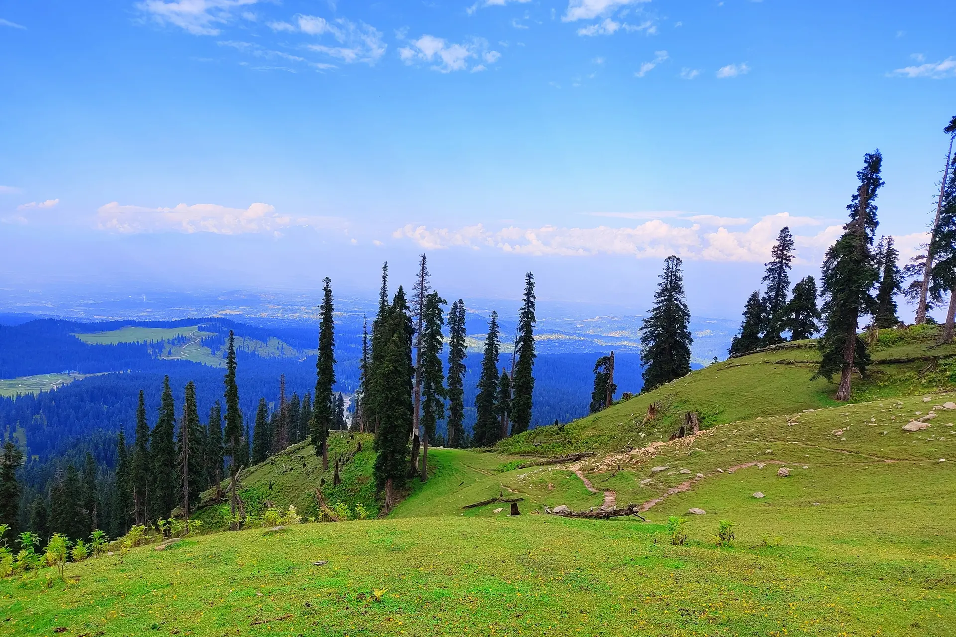 Kashmir Meadows & Houseboat Paradise Tour