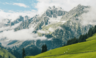 Heavenly Kashmir Valley Escape