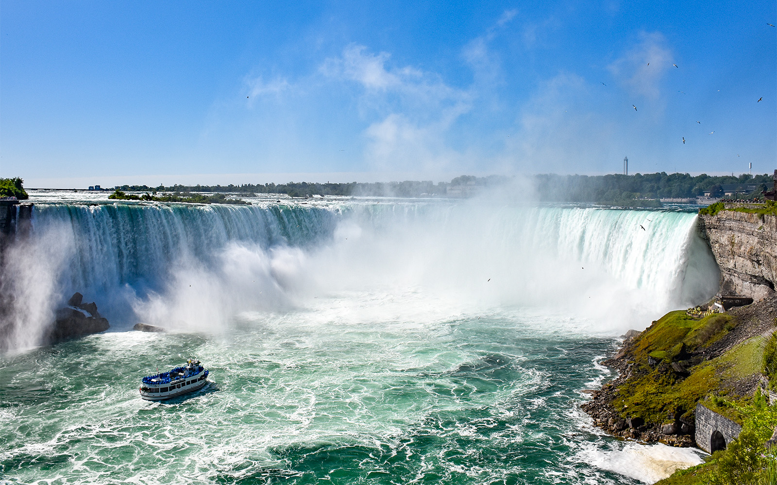 USA Family Adventure Escape
