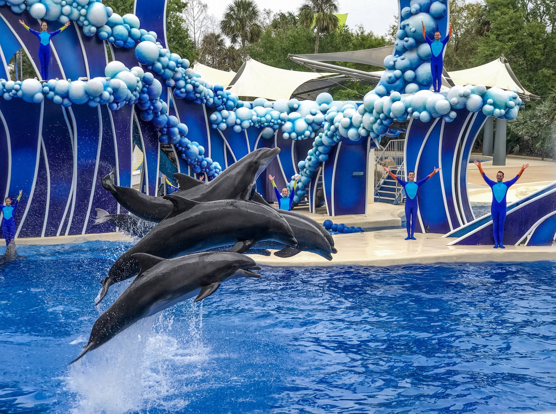 Orlando Magic Fun Escape