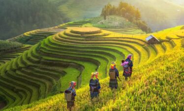 Experience the true essence of Vietnam through this immersive 12 Nights / 13 Days journey covering Hanoi, Sapa, Ha Long Bay, Hue, Hoi An, and Ho Chi Minh City. From mountain villages and overnight train adventures to breathtaking bays, ancient towns, imperial cities, and vibrant local culture — this itinerary is designed for travelers who want to explore Vietnam beyond the ordinary. This tour perfectly combines nature, culture, local experiences, trekking, cruises, heritage sites, and modern city life.