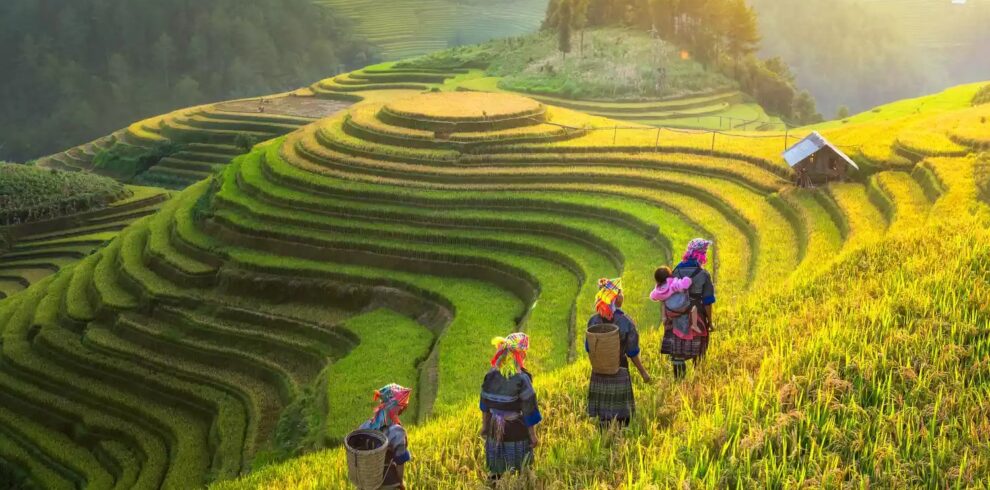 Experience the true essence of Vietnam through this immersive 12 Nights / 13 Days journey covering Hanoi, Sapa, Ha Long Bay, Hue, Hoi An, and Ho Chi Minh City. From mountain villages and overnight train adventures to breathtaking bays, ancient towns, imperial cities, and vibrant local culture — this itinerary is designed for travelers who want to explore Vietnam beyond the ordinary. This tour perfectly combines nature, culture, local experiences, trekking, cruises, heritage sites, and modern city life.