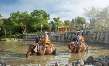Bali Adventure & Wildlife Escape