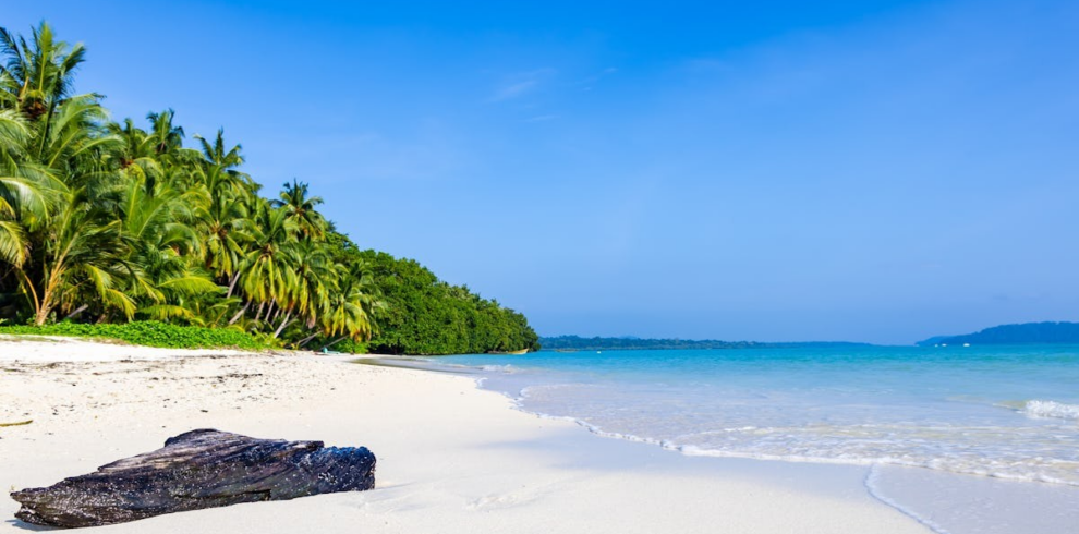 Andaman Island Bliss