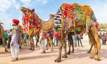 Royal Rajasthan & Golden Triangle Heritage Trail